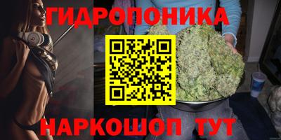 spice Рыбинск