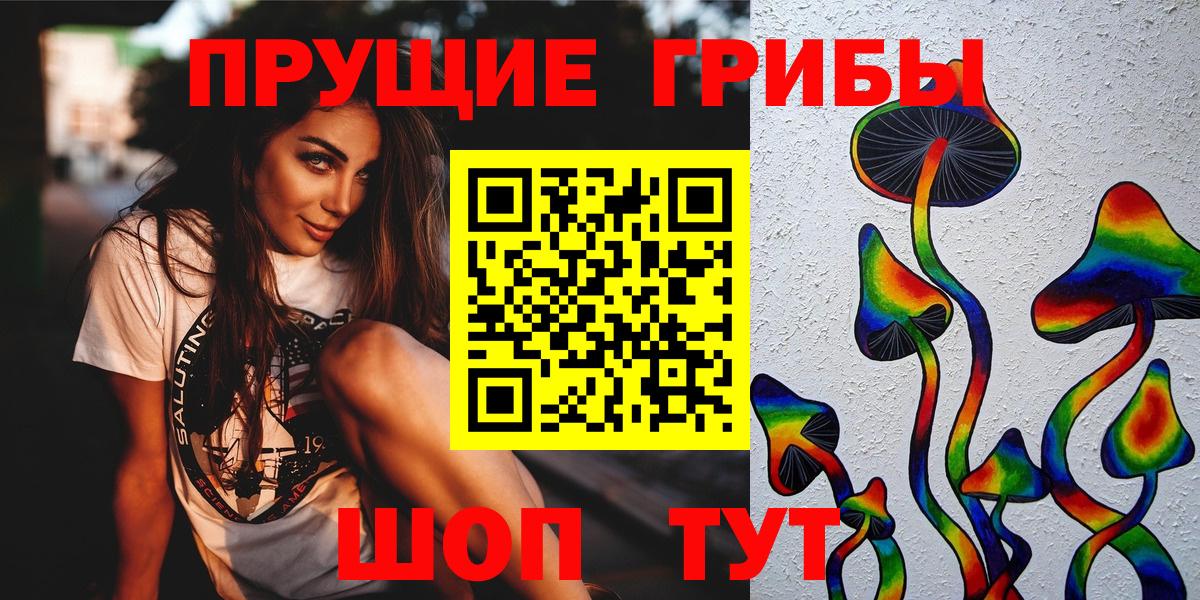 Серов  Псилоцибиновые грибы прущие грибы  Галлюциногенные грибы Psilocybe  Вход с VPN 