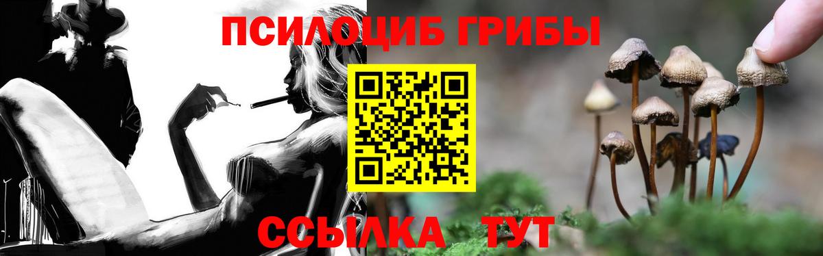 Галлюциногенные грибы Psilocybe Серов